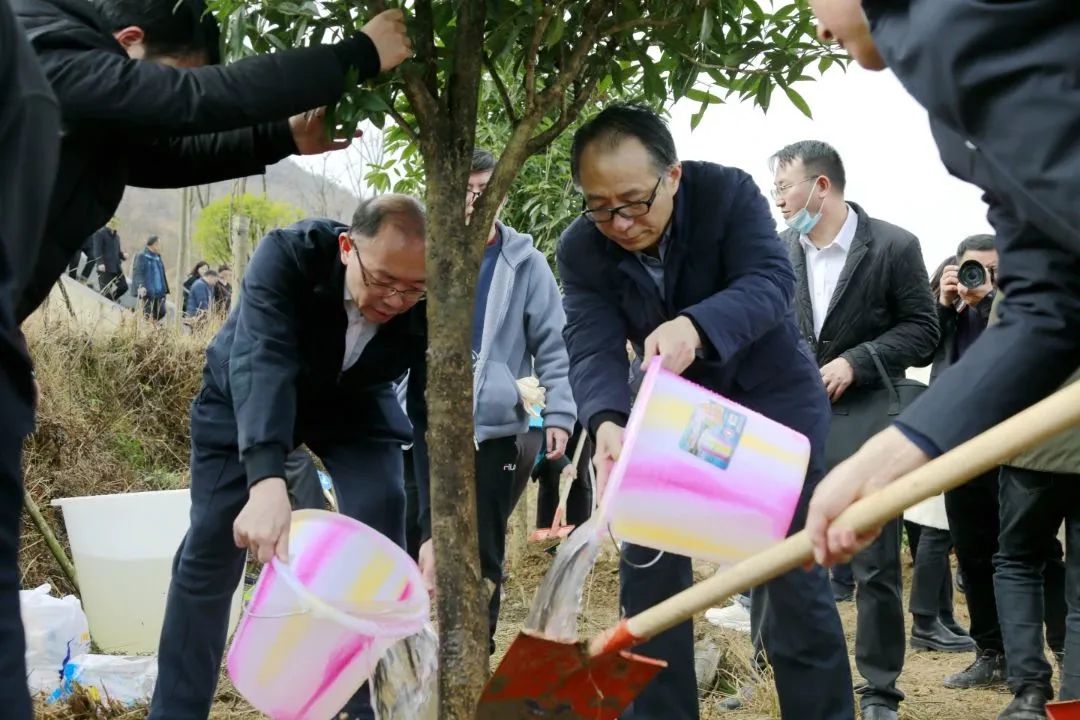 植树添绿，用“检察蓝”守护“生态绿”